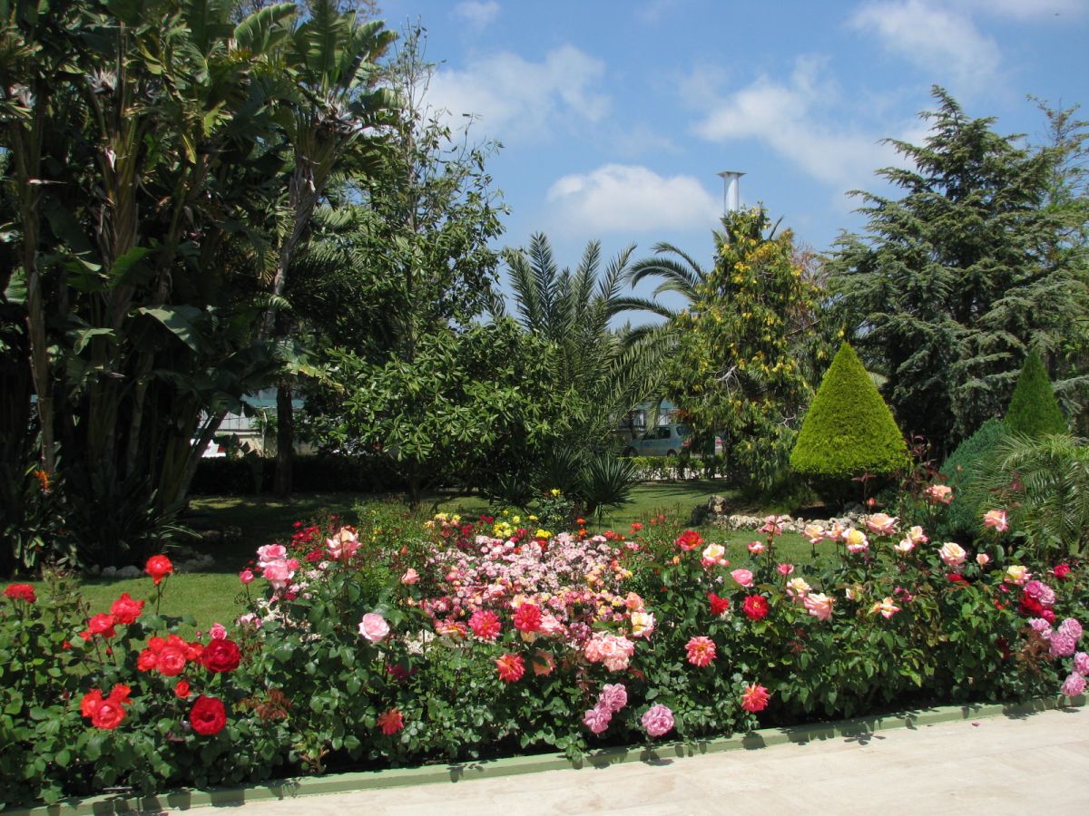 imagini hotel DELPHIN BOTANIK